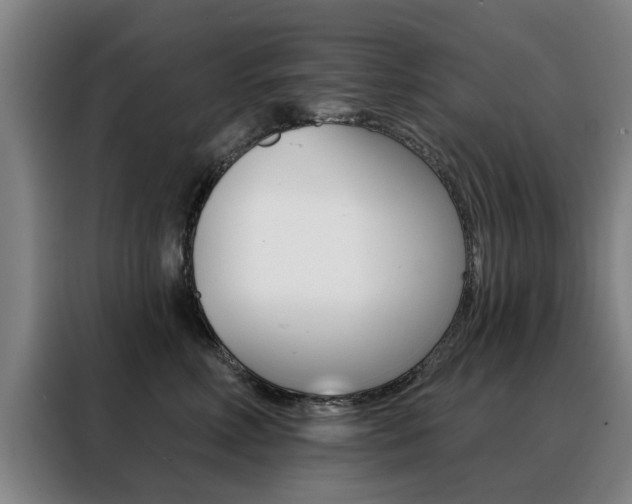 X0000088430618200705220855