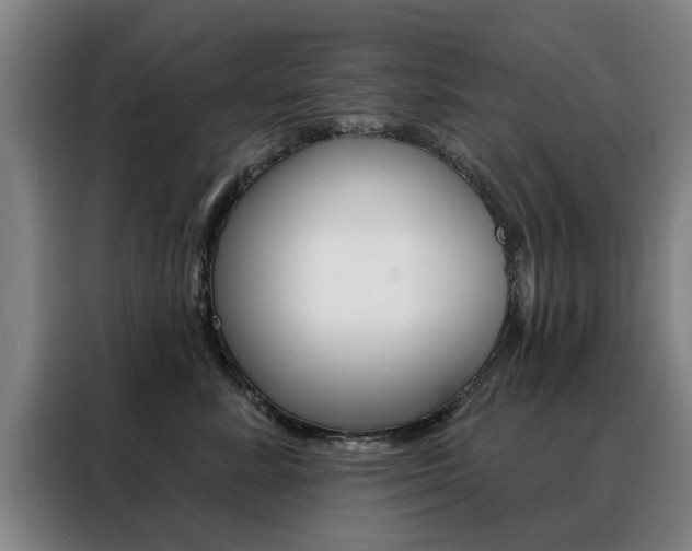 X0000088430619200705220855
