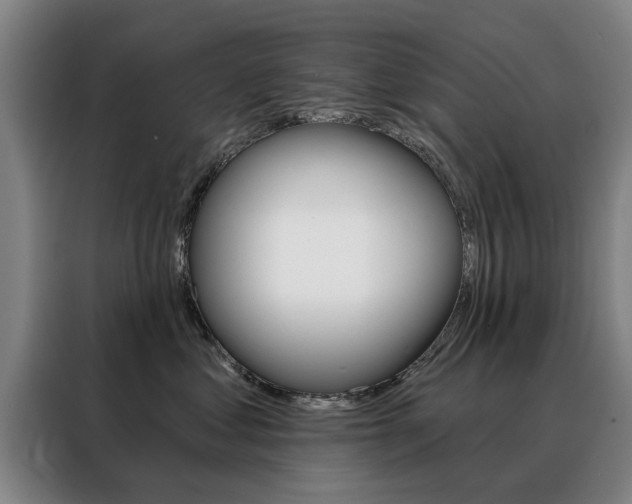 X0000088430621200705220855