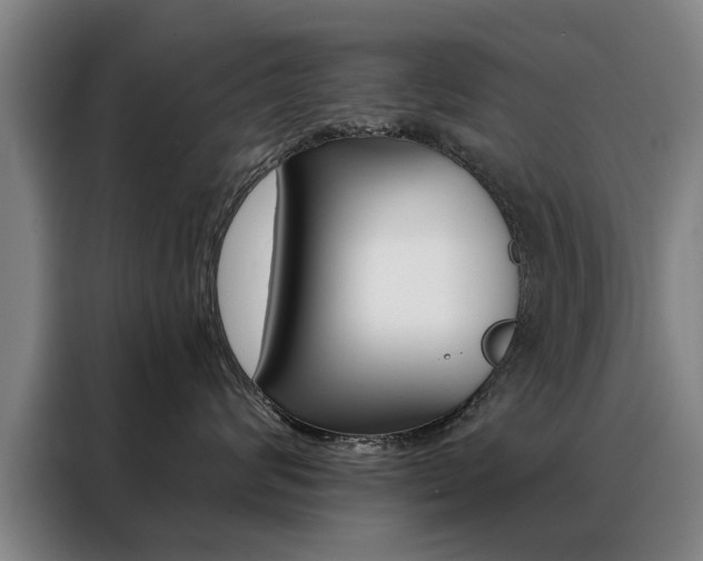 X0000088430624200705220855