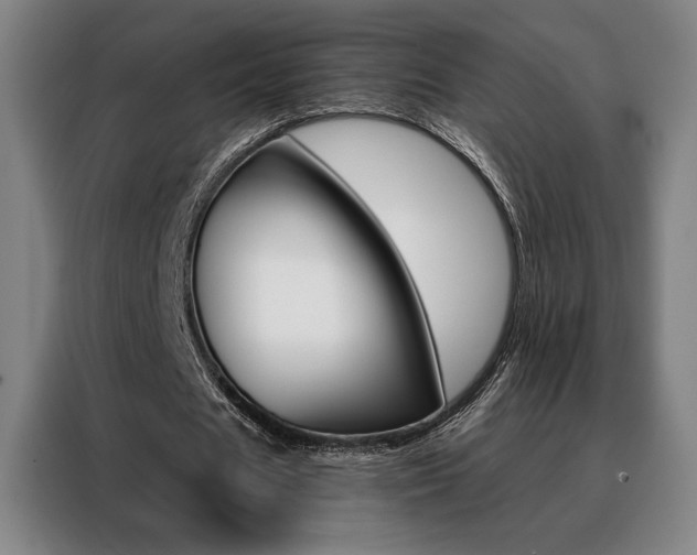 X0000088430625200705220855