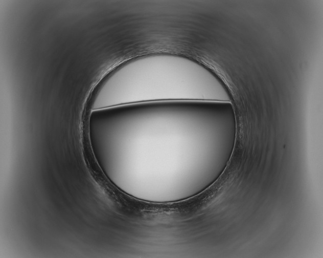 X0000088430626200705220855
