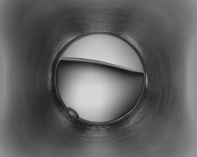 X0000088430627200705220855
