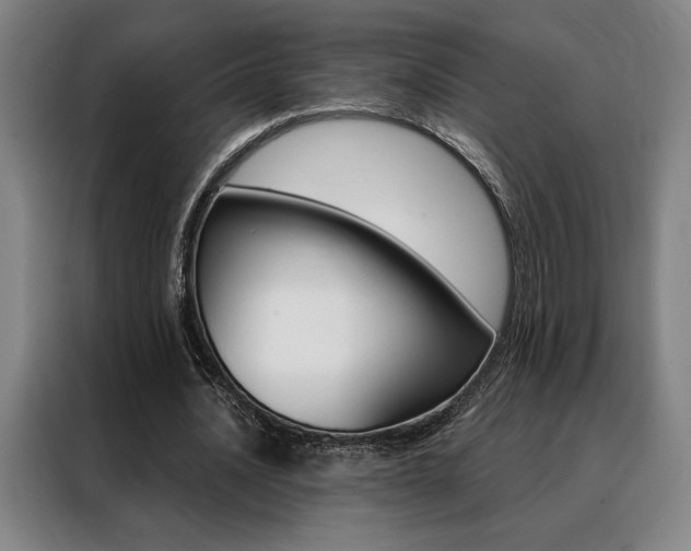 X0000088430628200705220855