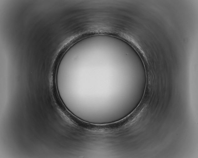 X0000088430629200705220855