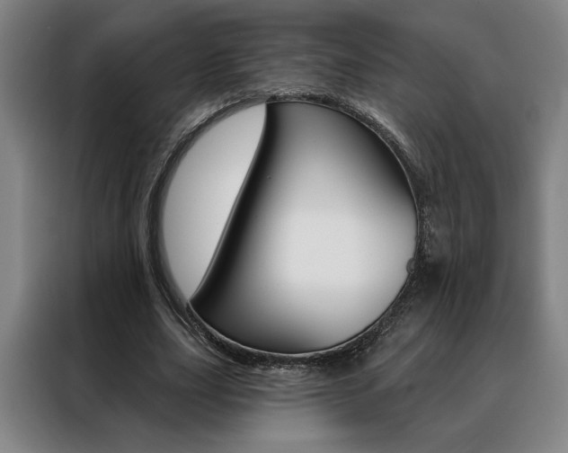 X0000088430631200705220855