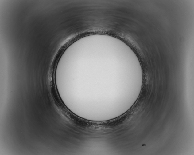 X0000088430632200705220855
