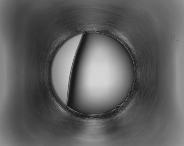 X0000088430633200705220855