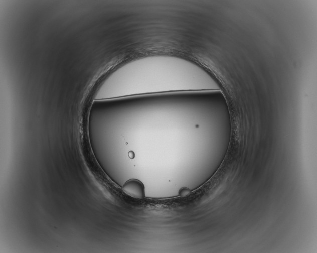 X0000088430634200705220855