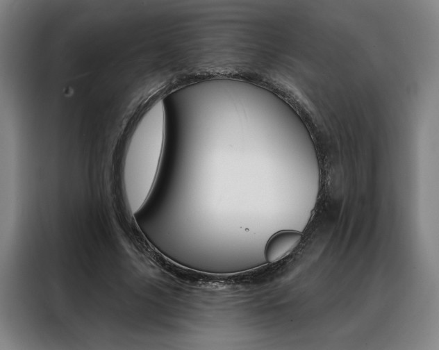 X0000088430635200705220855