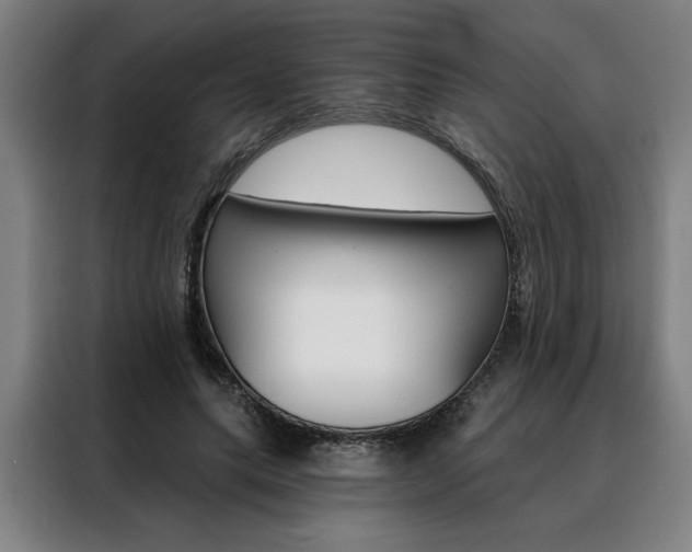 X0000088430639200705220855