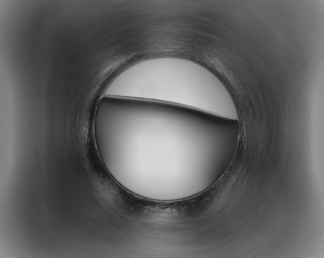 X0000088430640200705220855