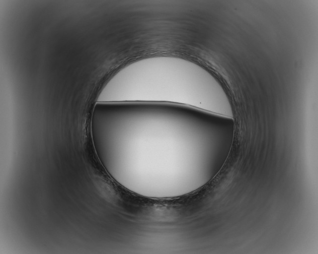 X0000088430641200705220855