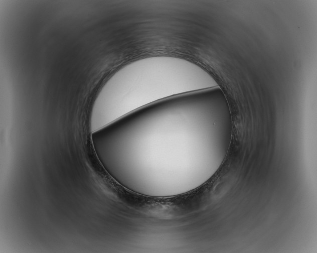 X0000088430642200705220855