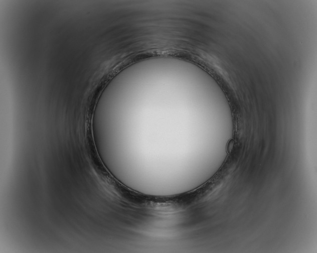 X0000088430645200705220855