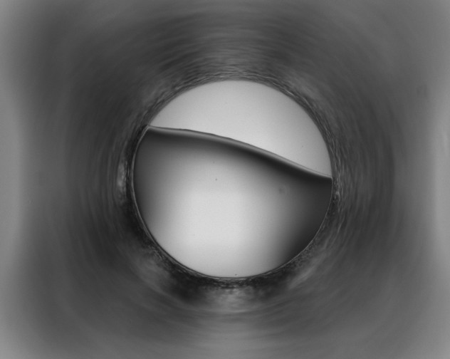 X0000088430646200705220855