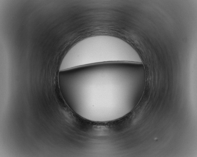 X0000088430649200705220855