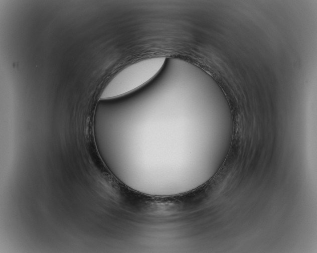 X0000088430650200705220855