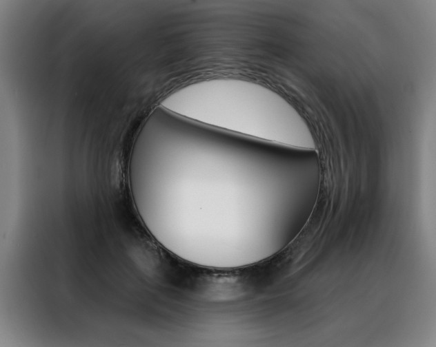 X0000088430651200705220855