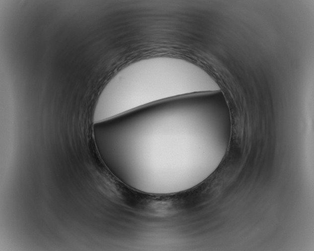 X0000088430653200705220855