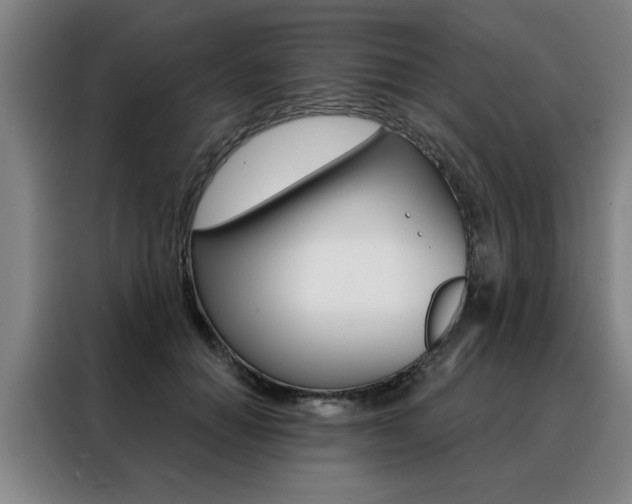 X0000088430654200705220855