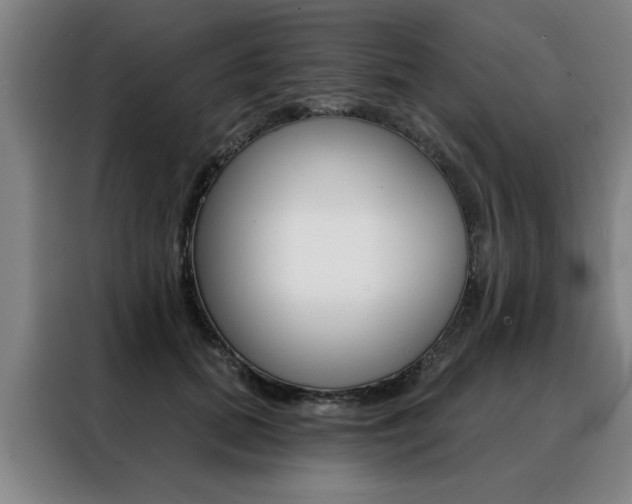 X0000088430655200705220855