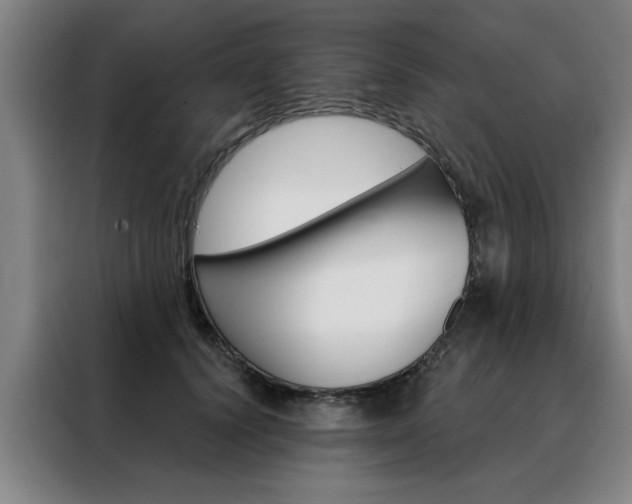 X0000088430656200705220855