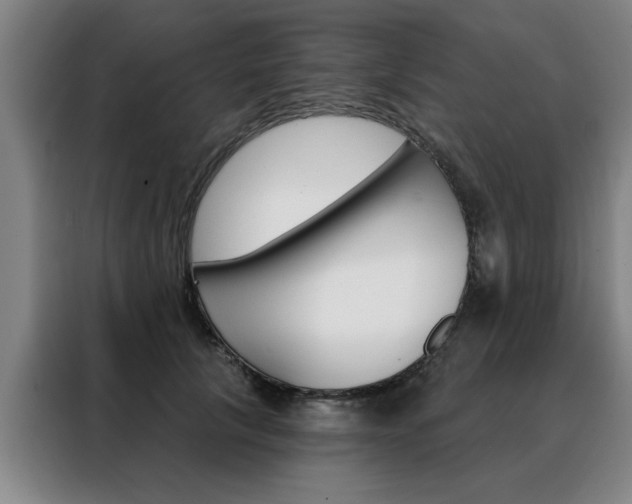 X0000088430657200705220855