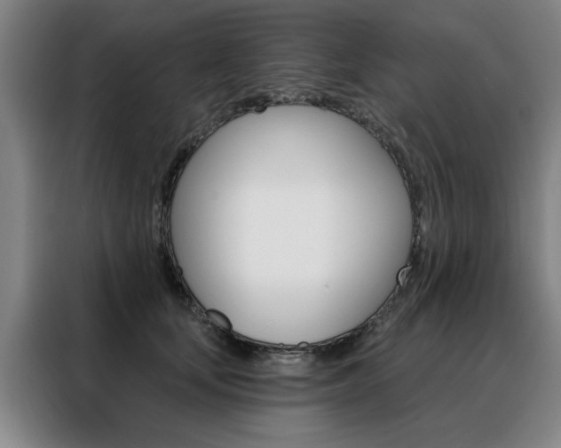 X0000088430659200705220855