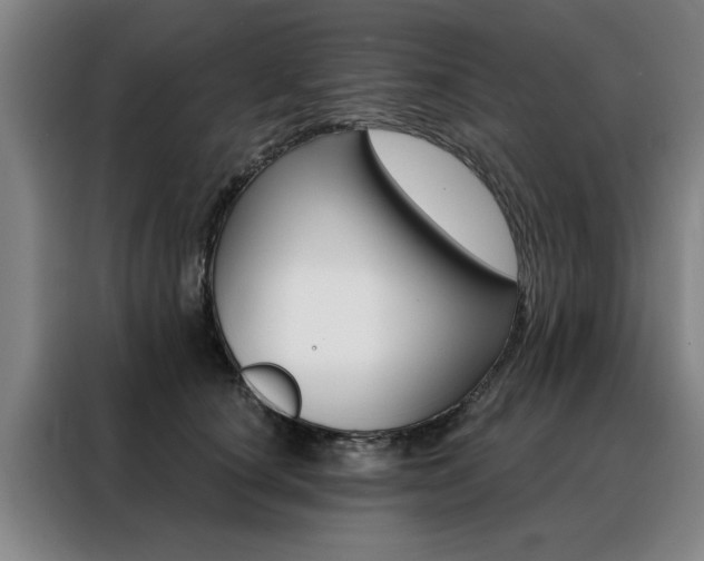 X0000088430660200705220855