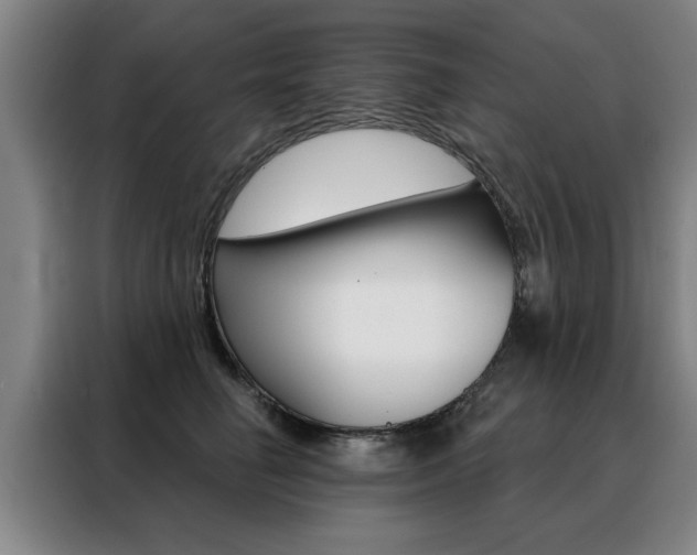 X0000088430662200705220855