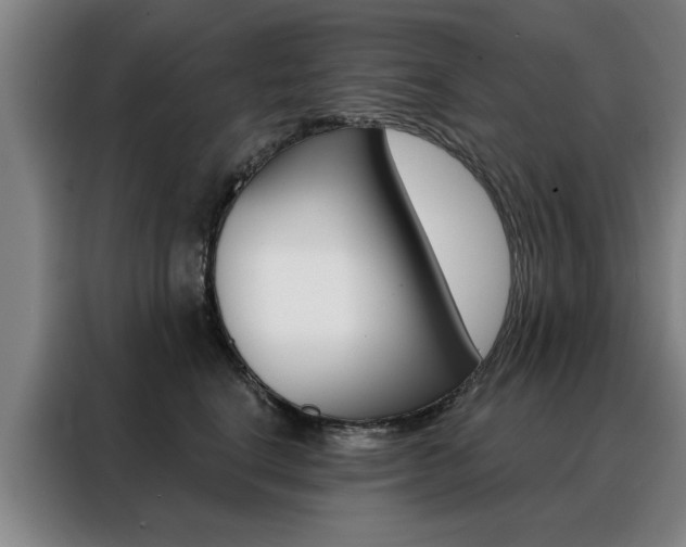 X0000088430664200705220855