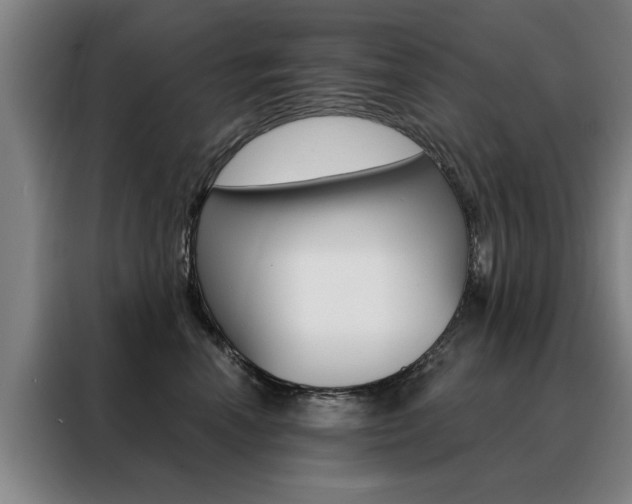 X0000088430666200705220855