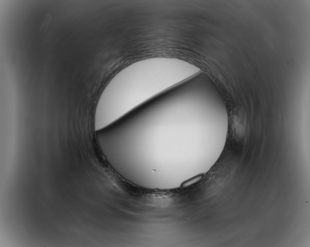 X0000088430668200705220855