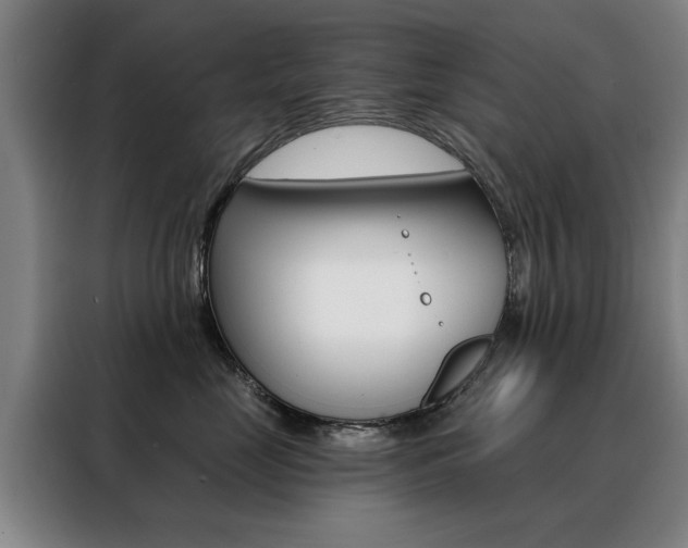 X0000088430669200705220855
