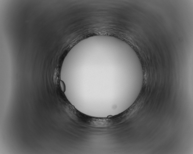 X0000088430671200705220855