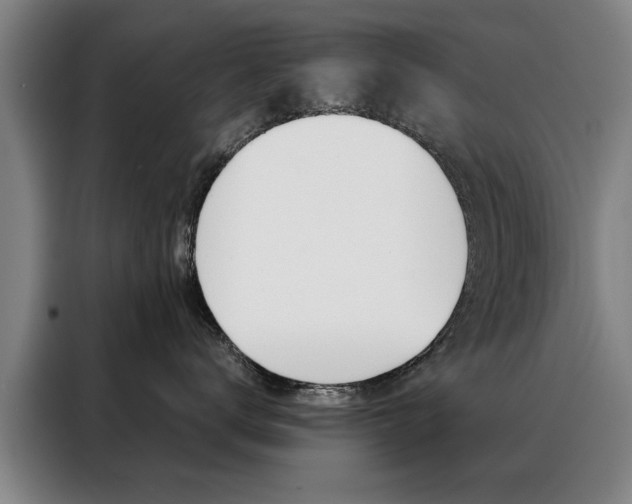 X0000088430672200705220855