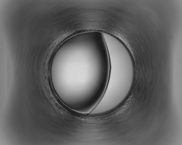 X0000088430673200705220855