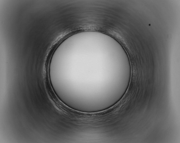 X0000088430674200705220855