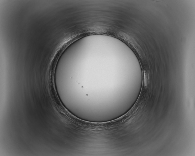 X0000088430675200705220855