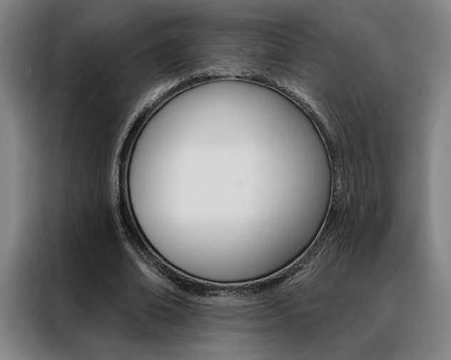 X0000088430678200705220854