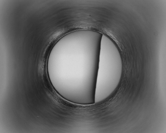 X0000088430679200705220854