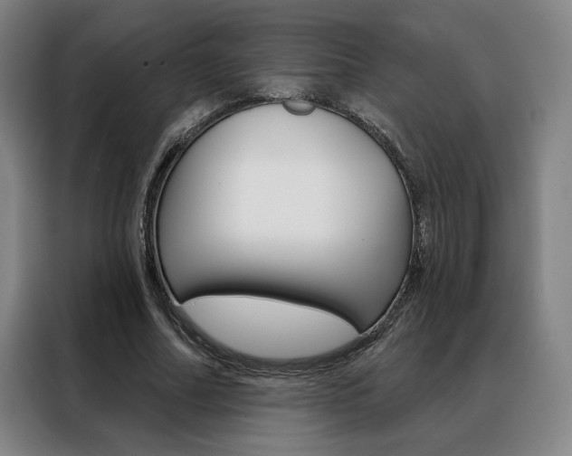 X0000088430682200705220854