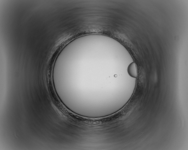 X0000088430683200705220854