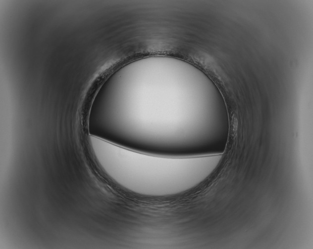 X0000088430684200705220854