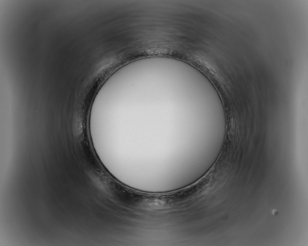 X0000088430687200705220854