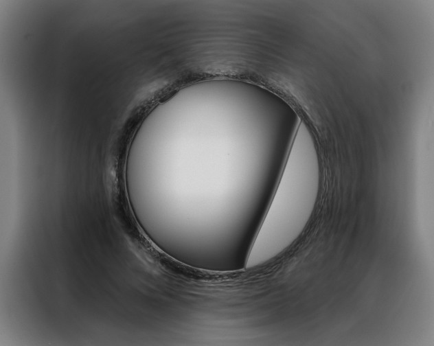 X0000088430688200705220854