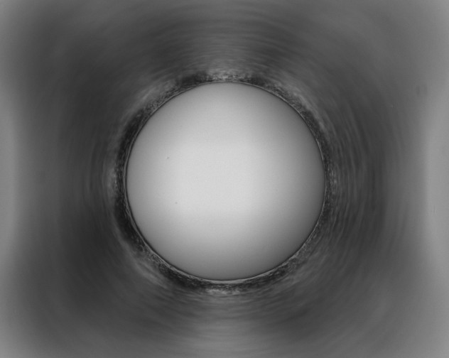X0000088430690200705220854