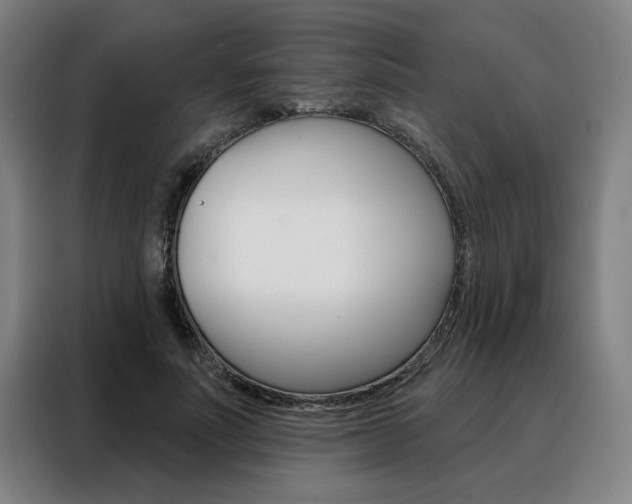 X0000088430691200705220854