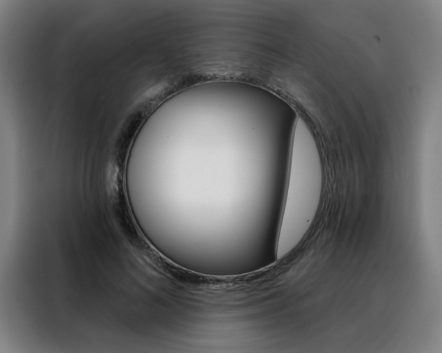 X0000088430692200705220854